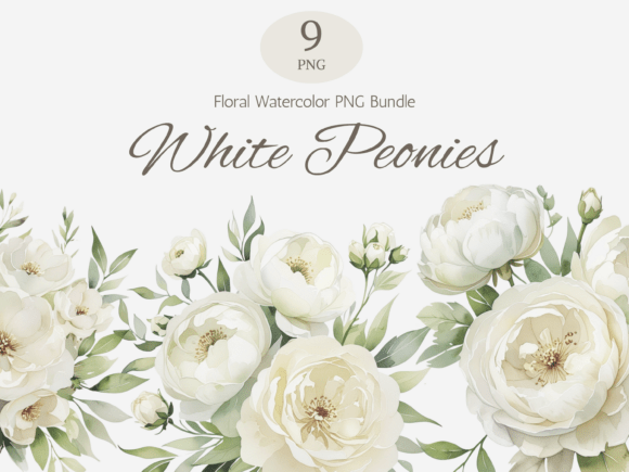 Download White Peonies Watercolor PNG Bundle - Watercolor png Collection